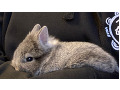 -small-8
