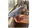 -small-1
