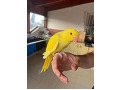-small-0