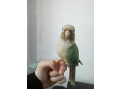-small-2