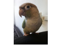 -small-0