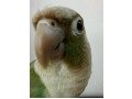 -small-3