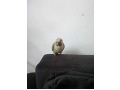 -small-4