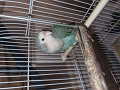 -small-2