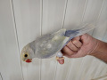 800-1200-small-5