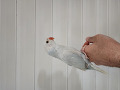 800-1200-small-1