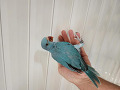 800-1200-small-7