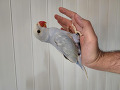 800-1200-small-4