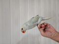 800-1200-small-2