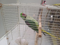-small-1