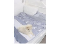 -small-2