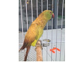-small-2