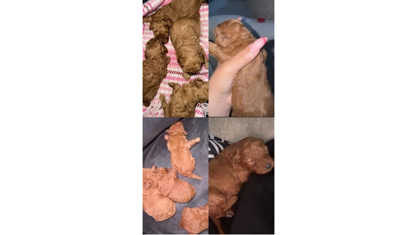 -big-0