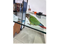 -small-2