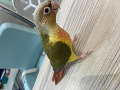 -small-2