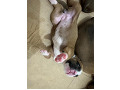 -small-1