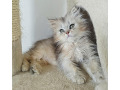 -small-2