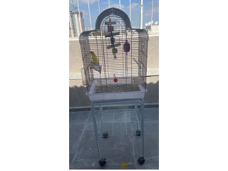 תוכי אהבה וכלוב איסוף מרמלה