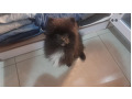 -small-5