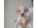 -small-1