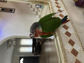 -small-2