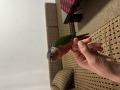 -small-1