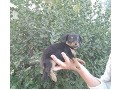 -small-2