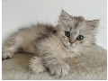 -small-7