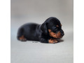 -small-0