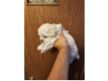 -small-0