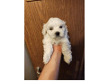 -small-5