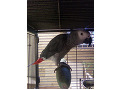 -small-3