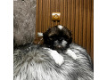 -small-3