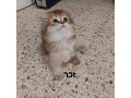 -small-1
