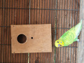 3-small-2