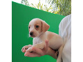 -small-3