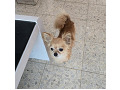 -small-2