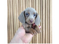 -small-0