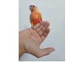 -small-0