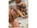 -small-10