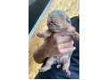 -small-5