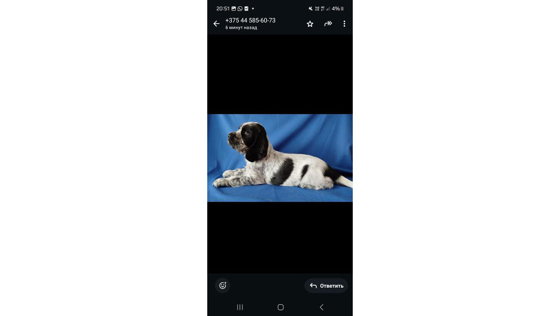 -big-0