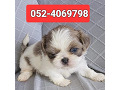 -small-0