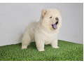 -small-0