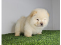 -small-2