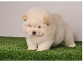 -small-1