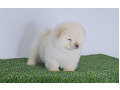 -small-2