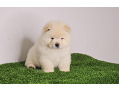 -small-2