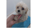 -small-0