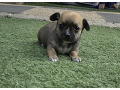 -small-0